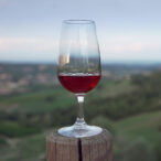 foto-pagina-cibo-vernasca-vinsanto-vigoleno-piacenza-3