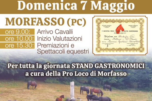 Rassegna Provinciale Cavallo Bardigiano Morfasso 2023