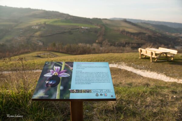 Sentiero delle orchidee a Lugagnano