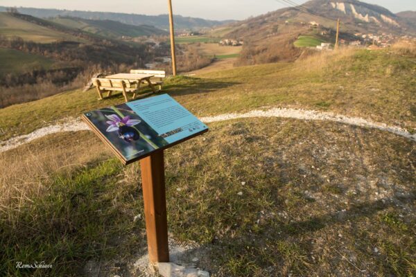 Sentiero delle orchidee a Lugagnano Val d'Arda