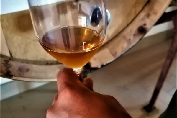 Calice di Vin Santo di Vigoleno