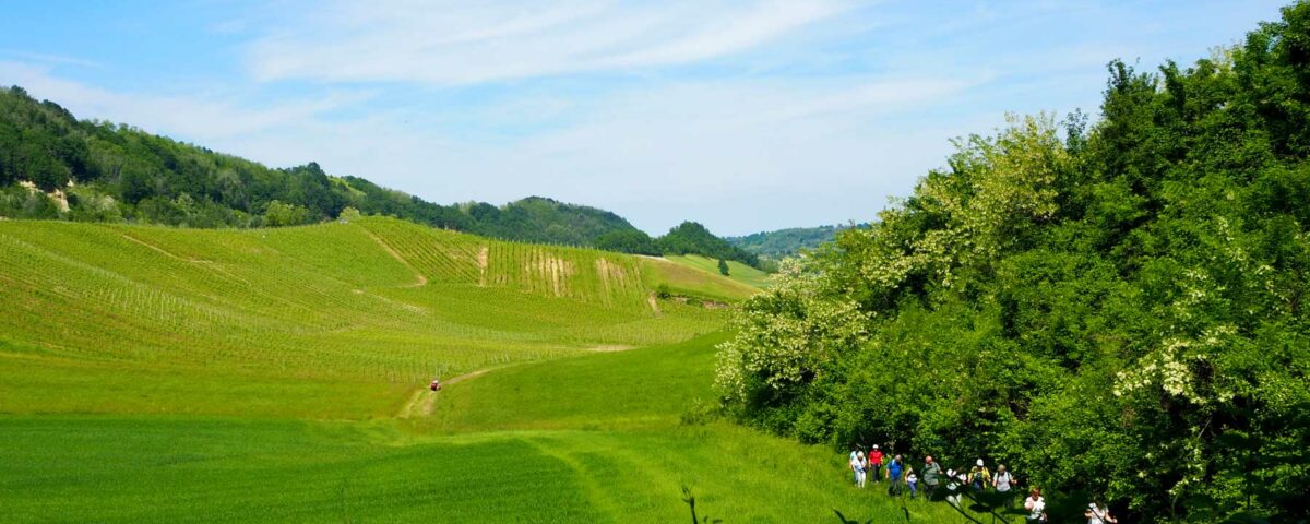 Passeggiata sulla Via dei Monasteri Regi tra vigneti e calanchi