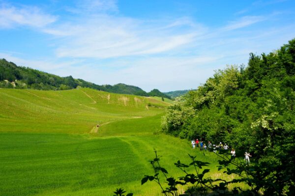 Passeggiata sulla Via dei Monasteri Regi tra vigneti e calanchi