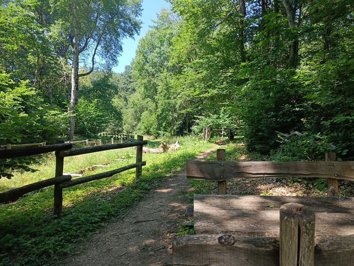 Zone di ombra con tavoli al parco del Monte Moria