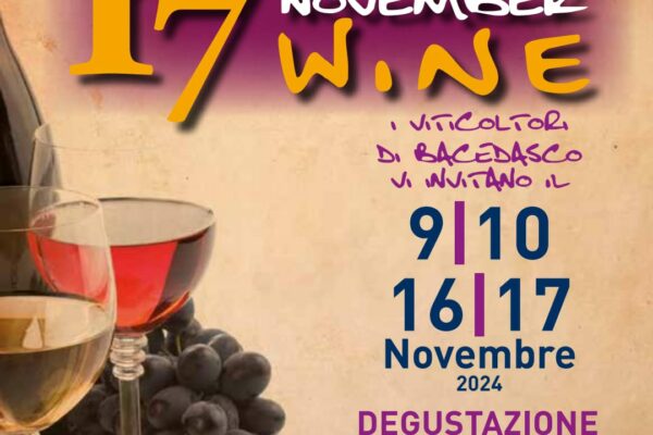 November Wine - Bacedasco Basso Vernasca - Alta Val d'Arda (2)