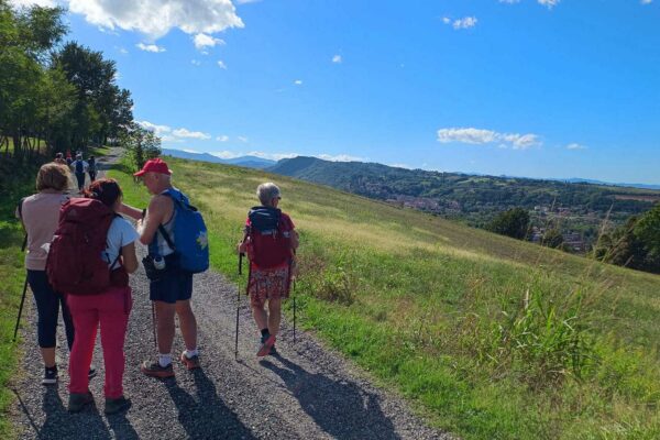 Paesaggio collinare tra Fiorenzuola e castell'Arquato