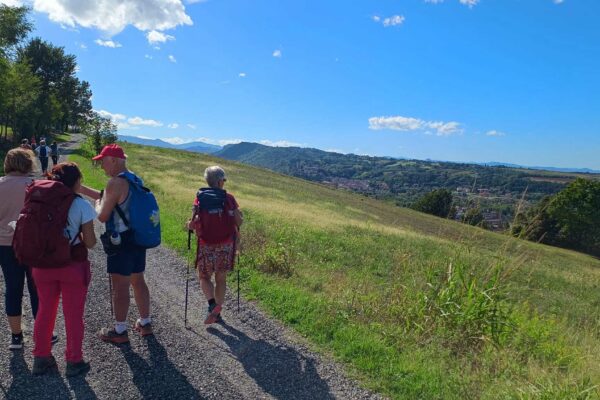 Paesaggio collinare tra Fiorenzuola e Castell'Arquato